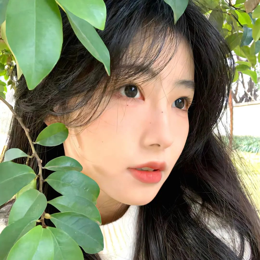吉尔达